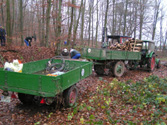 Holzaktion 2007