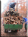 Holzaktion 2012